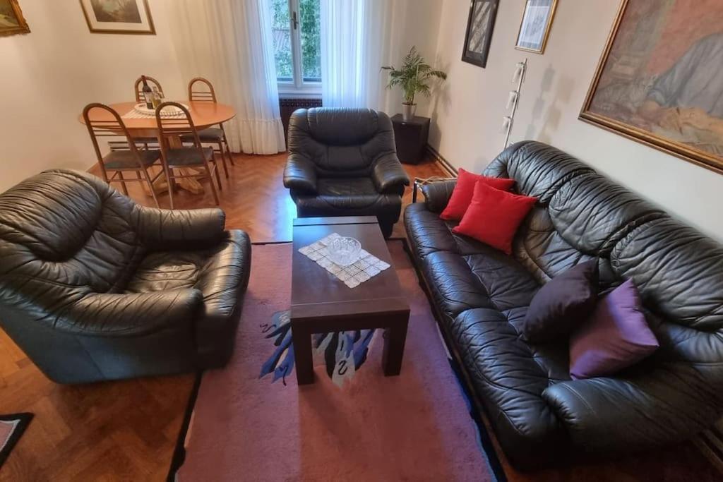 Olden House-Central Apartment-Parking Загреб Екстериор снимка